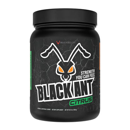 Bucked Up Black Ant