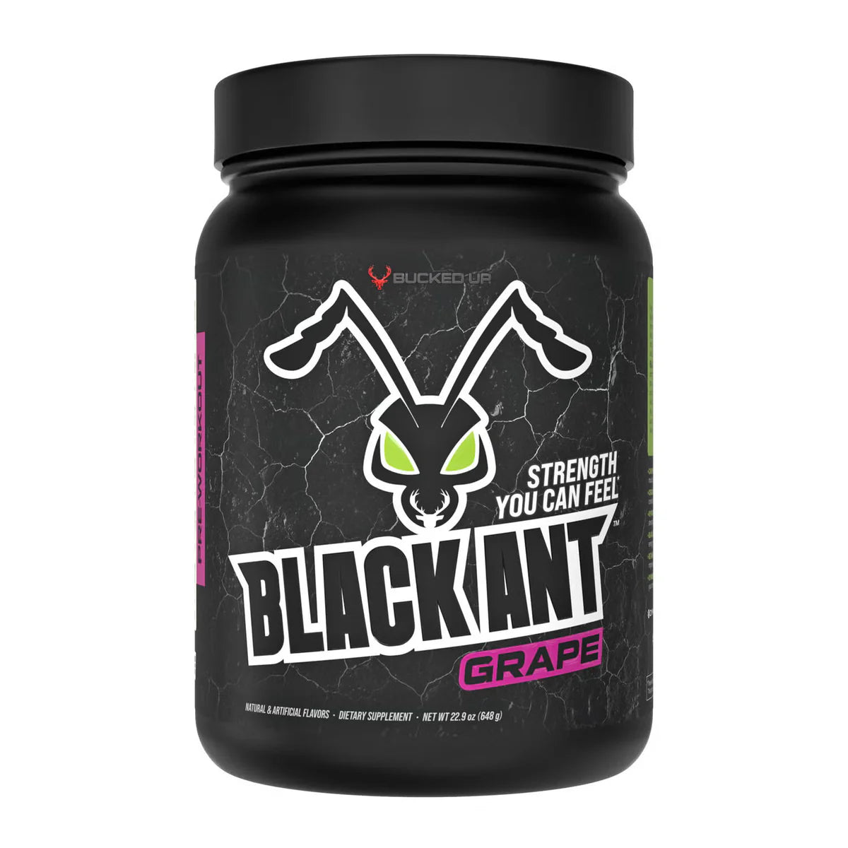 Bucked Up Black Ant