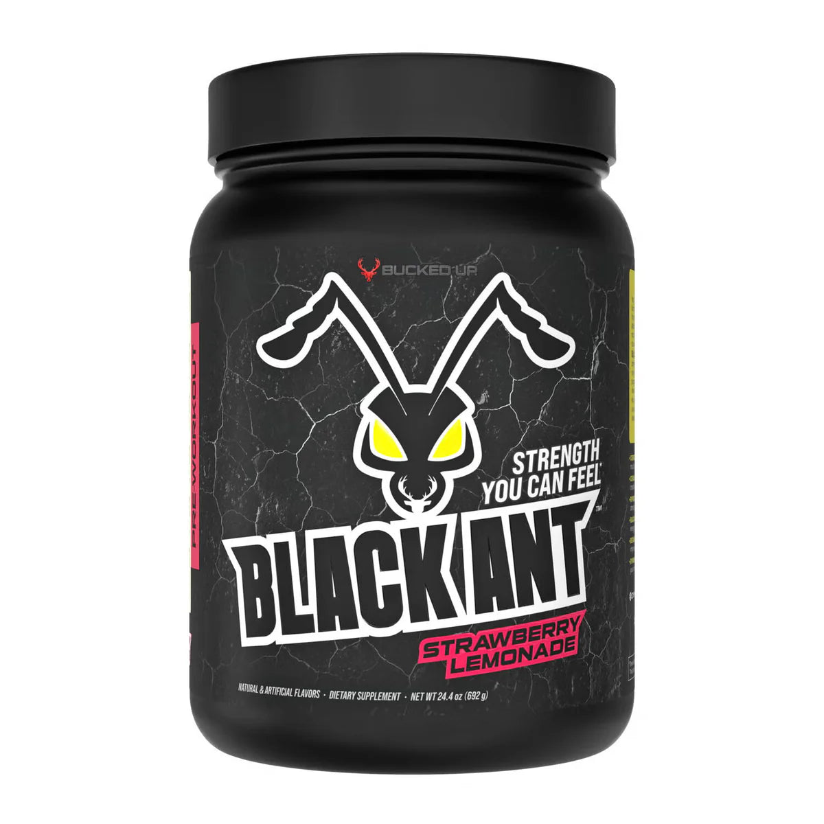 Bucked Up Black Ant