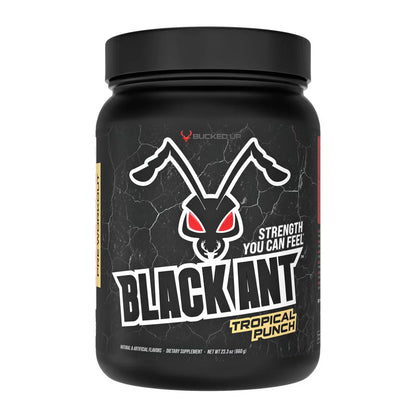 Bucked Up Black Ant