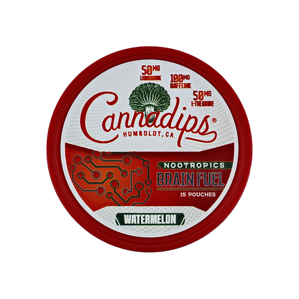 Cannadips Brain Fuel Nootropics Pouches